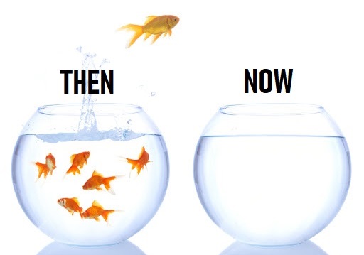 A goldfish jumps from a -Then- bowl and into a -Now- bowl